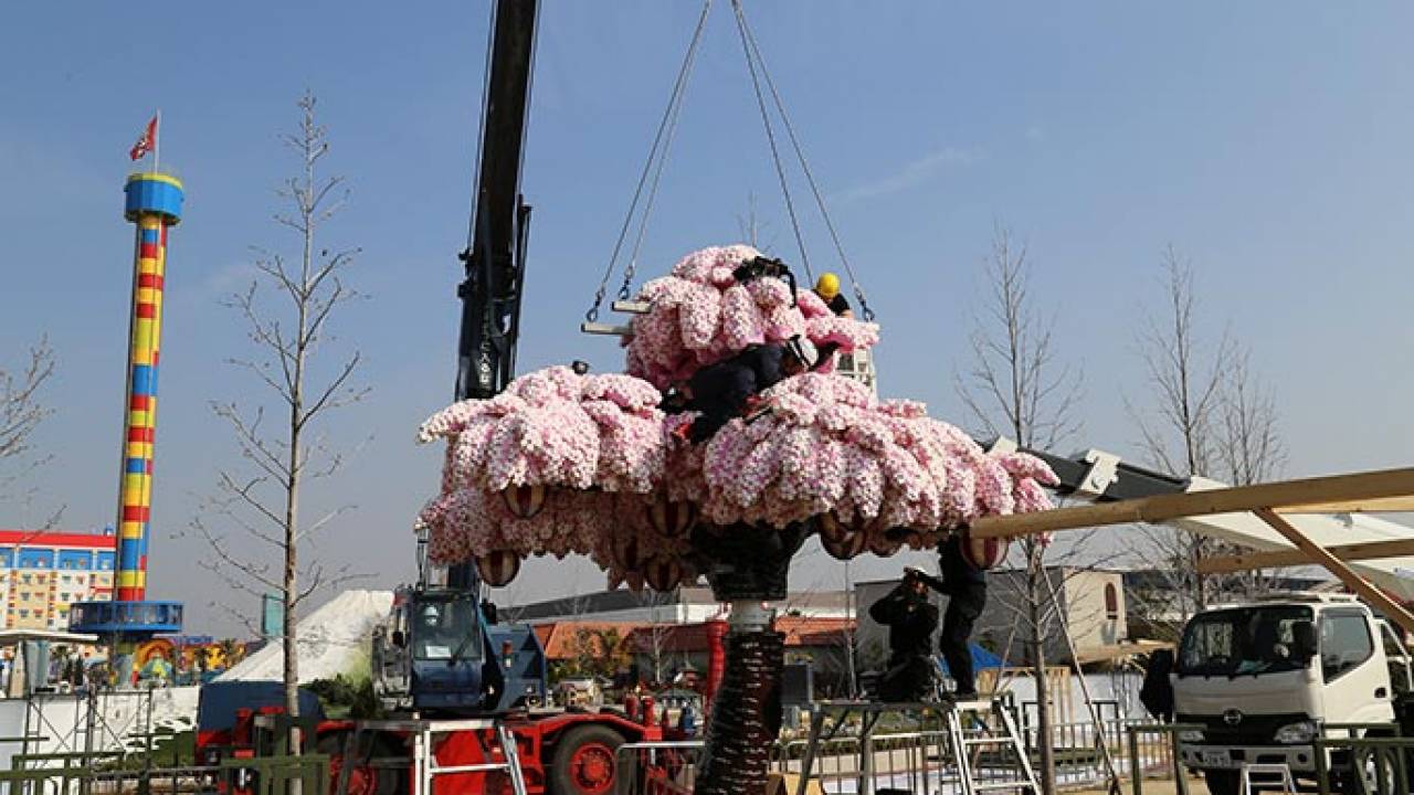 使ったレゴ80万個超！圧巻、世界最大のレゴでできた桜の木の制作の様子を動画で！
