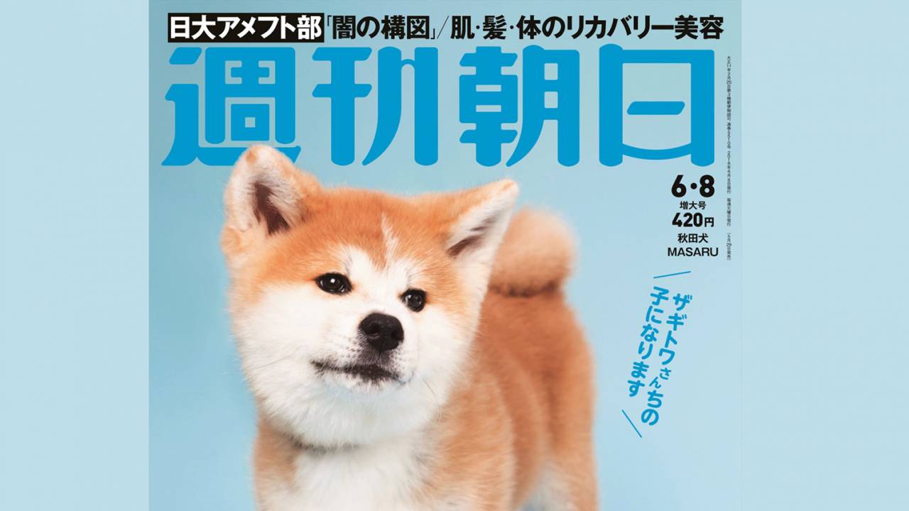 きゃわいい♡ 週刊朝日の表紙に女子フィギュア ザギトワ選手の秋田犬・MASARU！96年の歴史で初