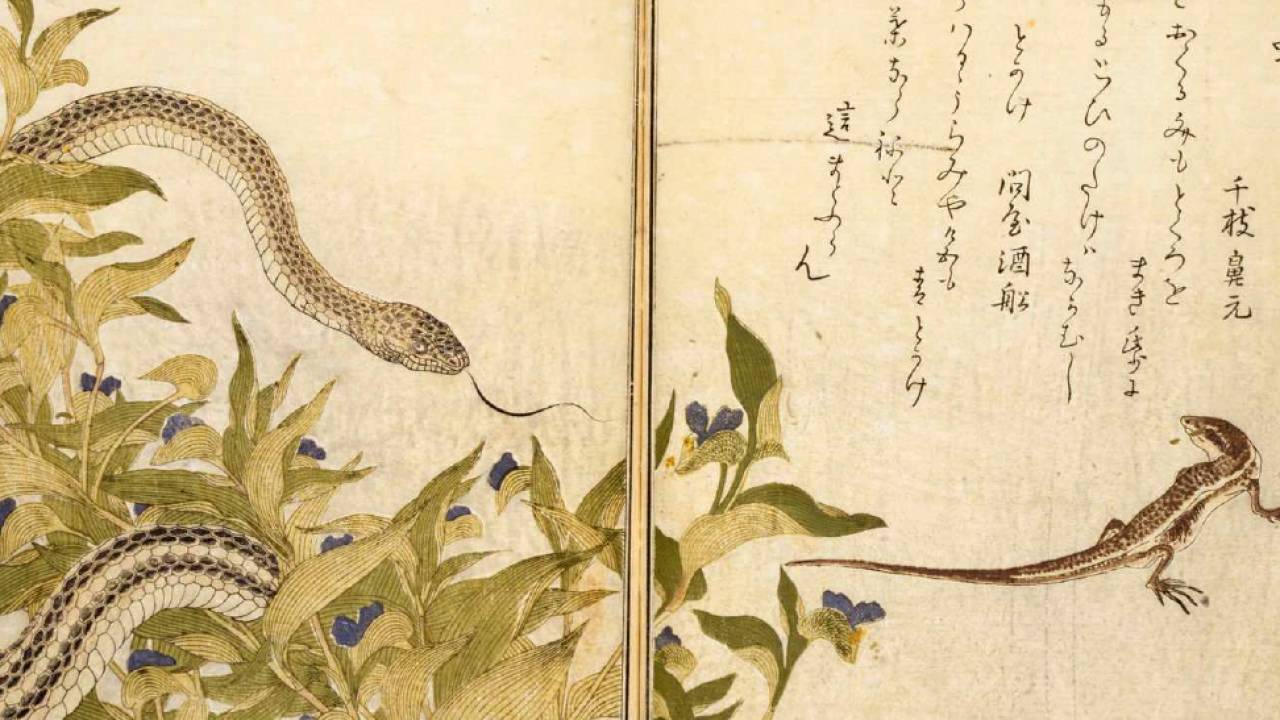 「画本虫撰」はまさに昆虫図鑑！喜多川歌麿は昆虫を描かせてもスゴいんだから！