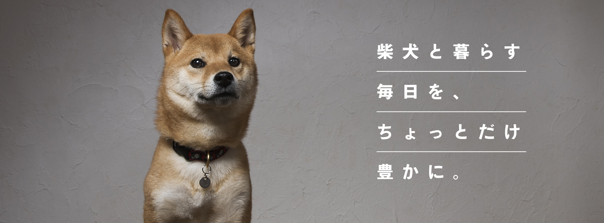 柴犬情報メディア「SHIBA-INU LIFE」