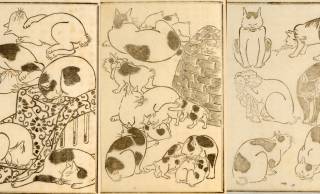 可愛い猫ちゃん大集合！三代 歌川広重が描いた「百猫画譜」の猫づくしに胸キュン♪