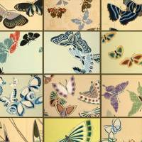ズバ抜けたセンス！多彩な姿で舞う蝶を描いた神坂雪佳「蝶千種」の驚異的な創造力に刮目せよ！