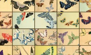 ズバ抜けたセンス！多彩な姿で舞う蝶を描いた神坂雪佳「蝶千種」の驚異的な創造力に刮目せよ！