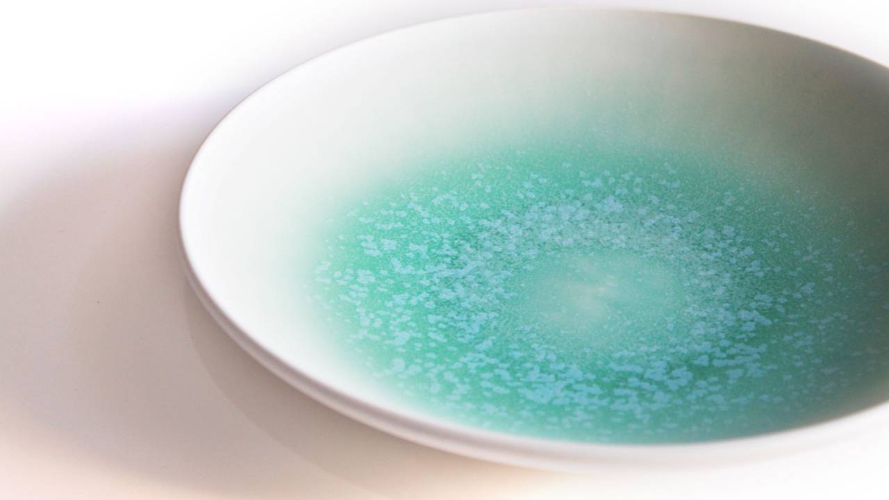 彩りが素敵！しなやかな曲線と繊細なグラデーションが美しい陶器「アイスグリーン」