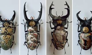 まるで漆工芸のように昆虫標本を装飾する樋口明宏さんのアート作品に心惹かれる！