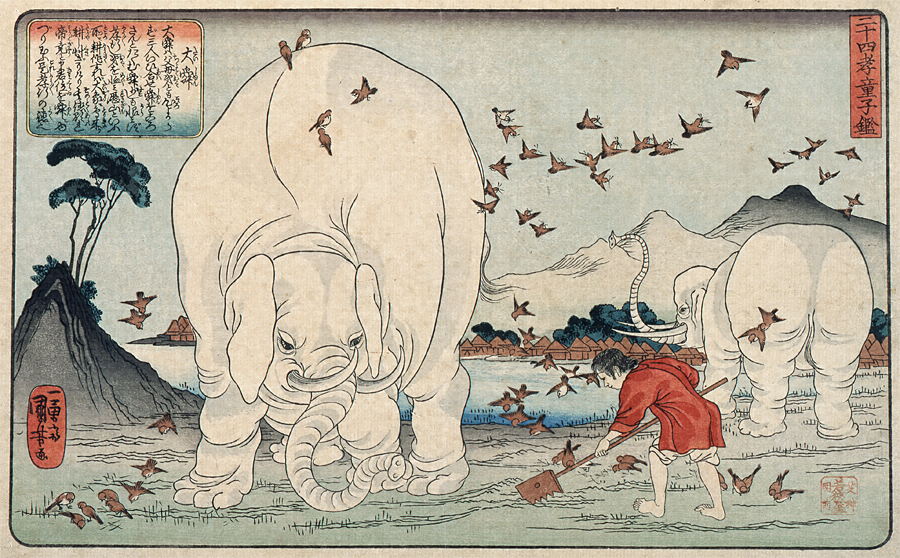 江戸時代にはすでにゾウやラクダが来日、びっくり仰天な姿が見世物