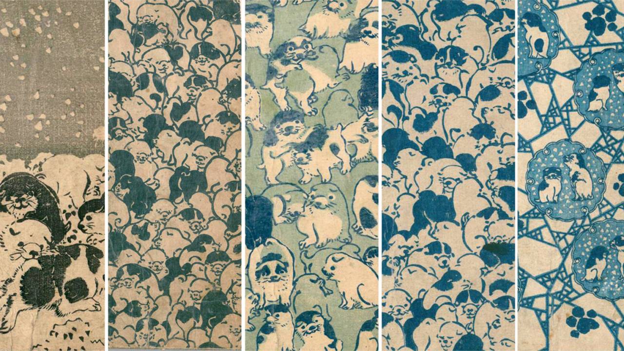キャワワが溢れてる！江戸時代の超大作小説「南総里見八犬伝」の表紙が可愛いワンちゃんまみれなんだが！