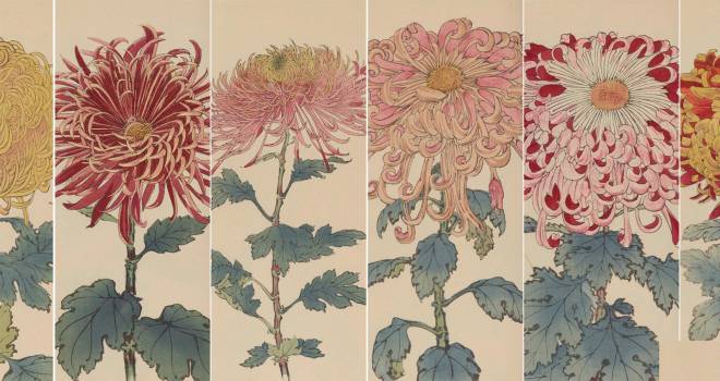 繊細で美しい 日本の国花 菊 の様々な品種を描いた明治時代の木版画 契花百菊 アート 日本画 浮世絵 Japaaan 菊