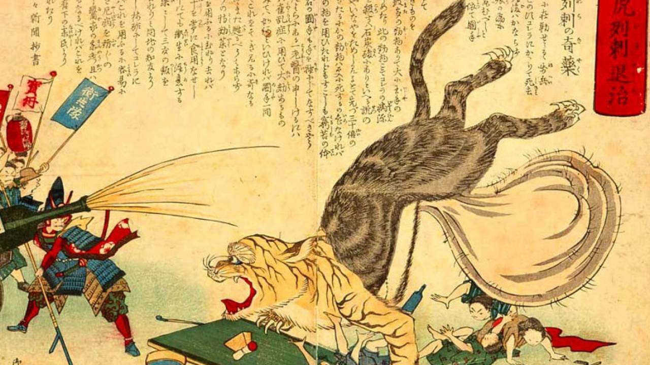 意識障害、狂躁状態…日本の歴史でも影響を与えた感染症・コレラ、チフスとはどんな病気だった？