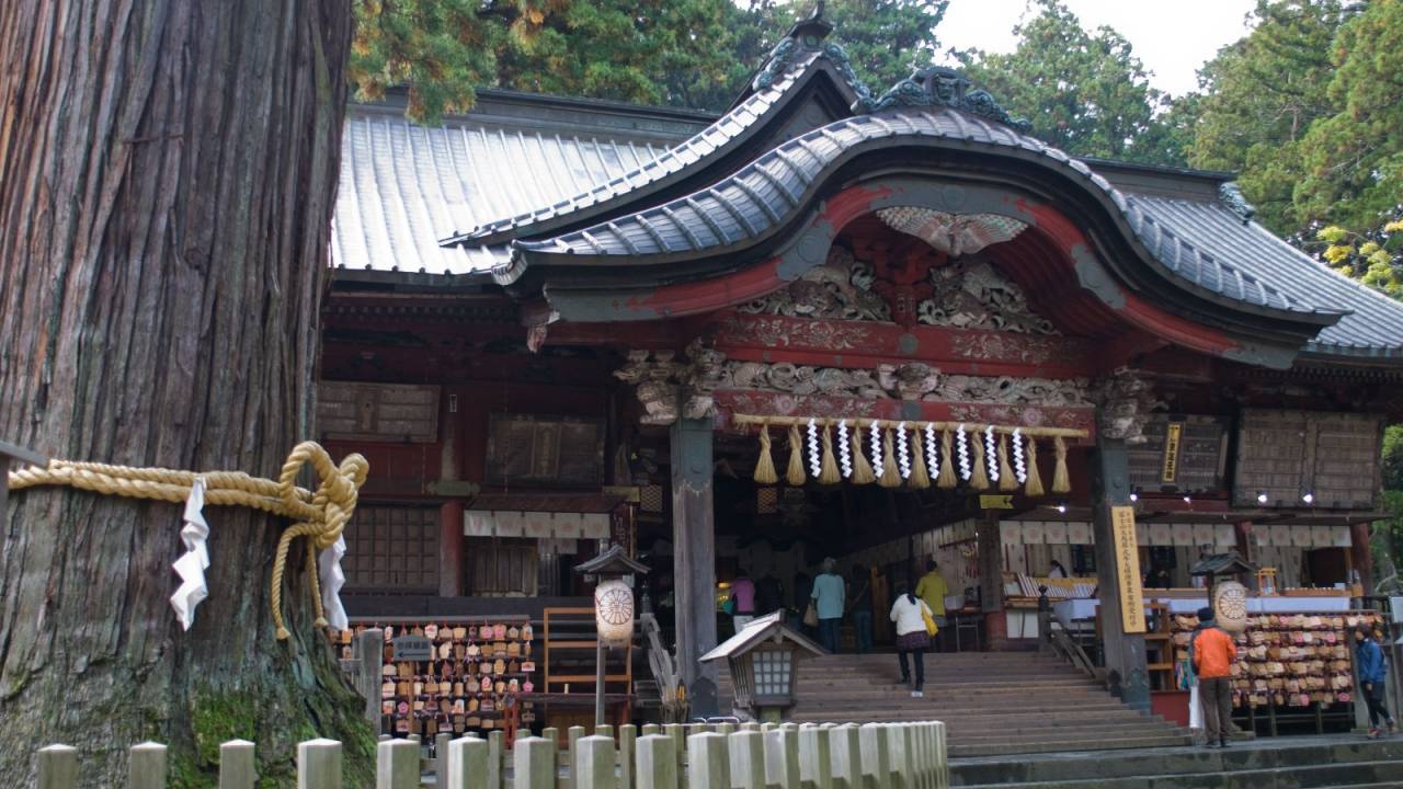 日本独自の文化。「お賽銭」を投げ入れる行為は神仏に対して失礼に当たらないの？