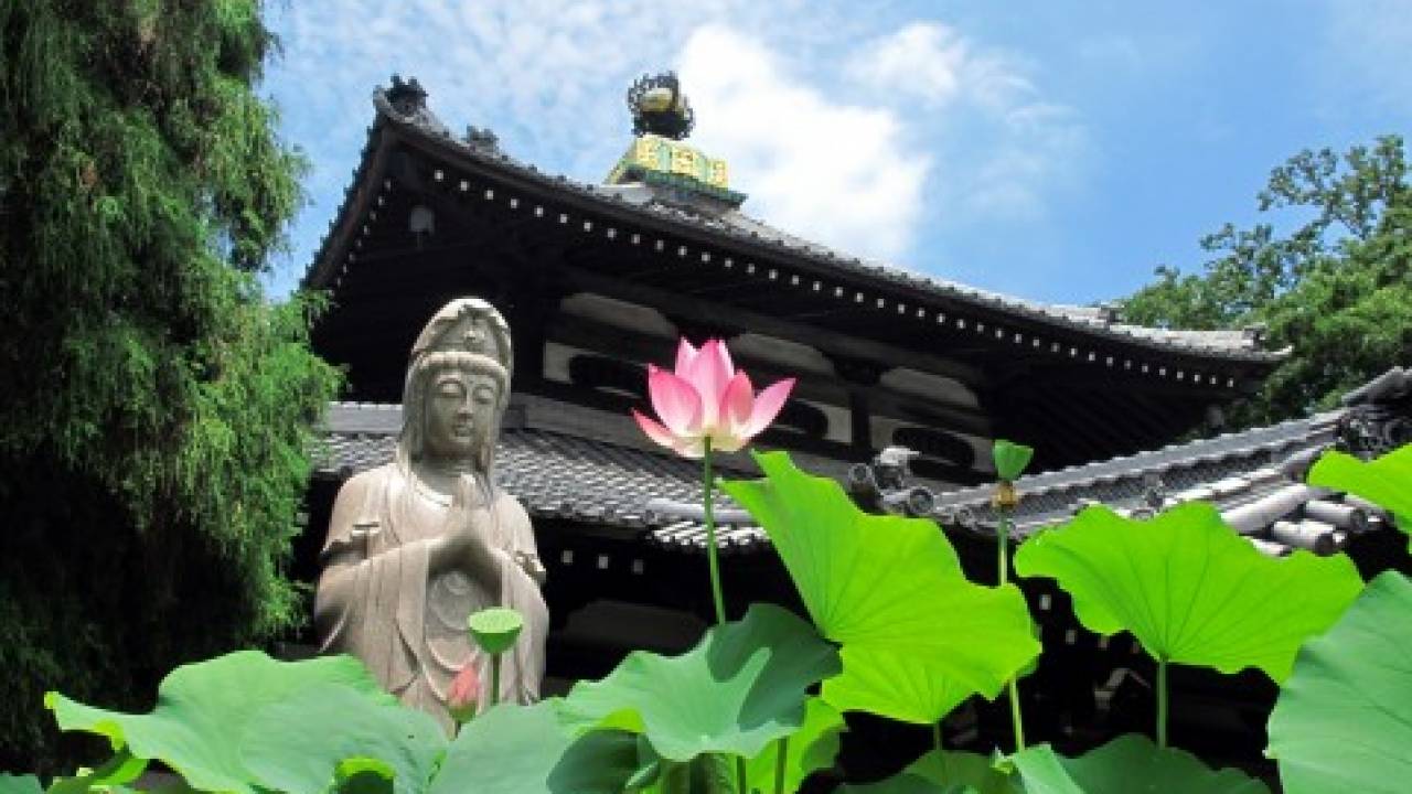 日本の仏教に海外の仏教…日本だけでも宗派がいろいろ。いったいどこがどう違うの？