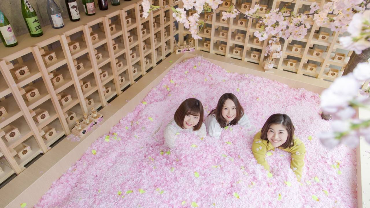 映えがスゴい！桜の花びらに埋もれながら佐賀のお酒が堪能できる「SAKURA CHILL BAR」開催！