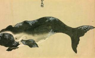 縄文時代から食べ継がれてきた日本のクジラ料理！クジラへの感謝を込めた「鯨塚」も紹介