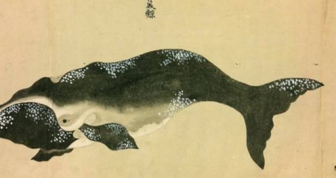 縄文時代から食べ継がれてきた日本のクジラ料理 クジラへの感謝を込めた 鯨塚 も紹介 グルメ 歴史 文化 Japaaan 鯨