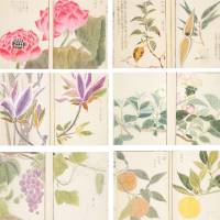 約2000種もの植物を写生！江戸時代に作られた日本で最初の植物図鑑「本草図譜」
