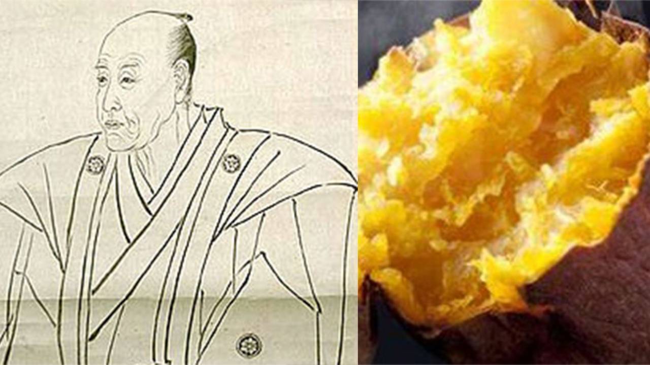 江戸時代に琉球を経て日本にやってきたサツマイモ、江戸っ子にも大人気でした