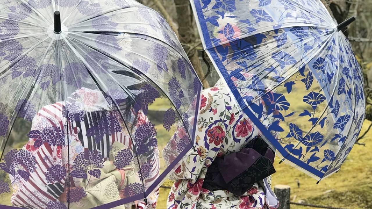浴衣にもぴったり♪紫陽花、金魚、朝顔の和風デザインが素敵な12本骨のビニール傘が新発売！