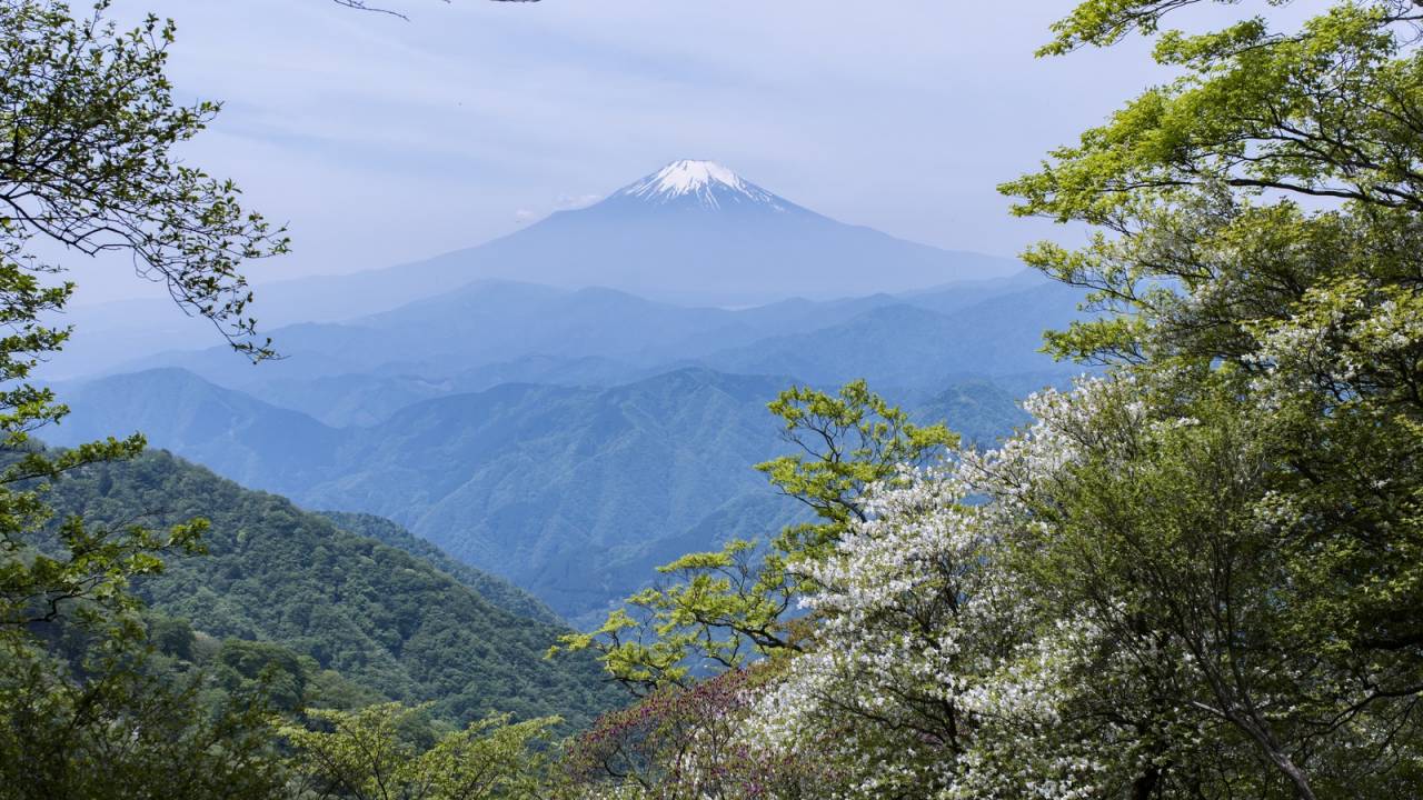 富士山の女人結界が解かれる以前に、男装をし女性で最初に富士山に登った「高山たつ」