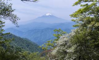 富士山の女人結界が解かれる以前に、男装をし女性で最初に富士山に登った「高山たつ」