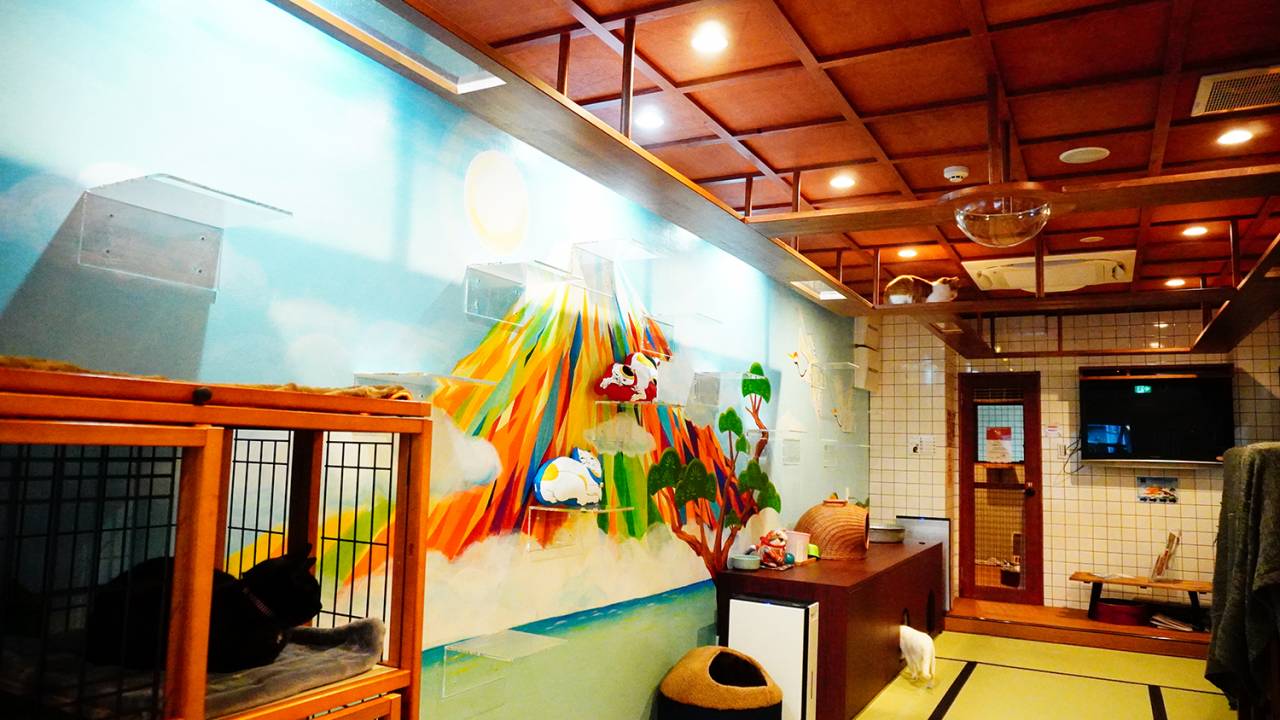 昭和の大衆銭湯をイメージしたユニークな保護猫カフェ「ねこ浴場」がオープン！