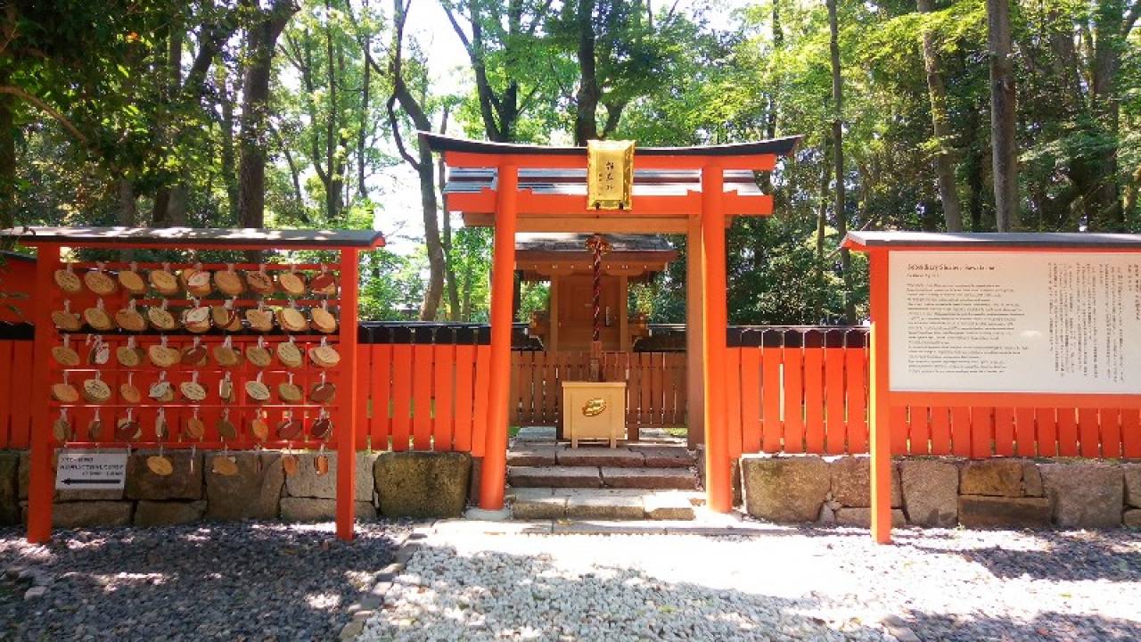 もうすぐラグビーワールドカップ！京都の「下鴨神社」がラグビーの聖地と呼ばれる理由