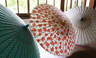 岐阜と沖縄、2つの地域の伝統が重なって生まれたコラボ和傘がステキです！