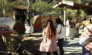 鎌倉の葛原岡神社はいつから「縁結びスポット」に？神職の方に訊いてみました