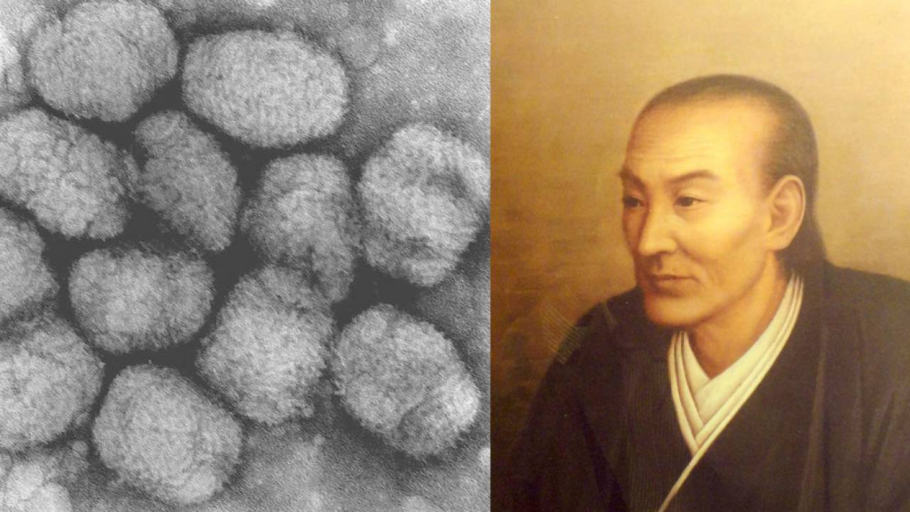 日本書紀にも記録が。人類が根絶に成功した感染症「天然痘」と日本人の歴史