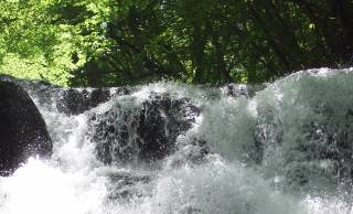水と竜が合わさってできた「滝」は、涼し〜いだけじゃなく心理的な効果もあり