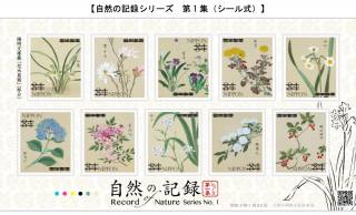 江戸時代に描かれた美しい植物画「花木真寫」がデザインされた切手「自然の記録シリーズ」がステキ！