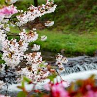 まさに伝説の力士！強すぎて4つの技を禁じられた江戸時代のレジェンド