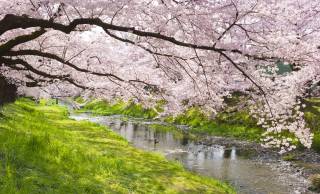 さらさら流れる「春の小川」はいずこ？東京五輪を機に地下に埋設され渋谷の地下でひっそりと【後編】