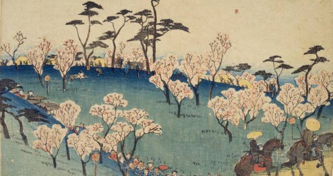 浮世絵で見る まもなく桜が開花 江戸時代から今も変わらないお花見スポットはどうやってできた アート 日本画 浮世絵 観光 地域 Japaaan