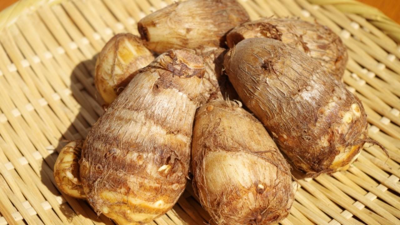 十五夜も十三夜も正月もサトイモ！日本では古くから神聖な食材とされてきた「里芋」の歴史