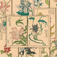 妖艶さもステキ！朝顔ブームの江戸時代に描かれた”変化朝顔”の図譜「朝かがみ」が素晴らしい