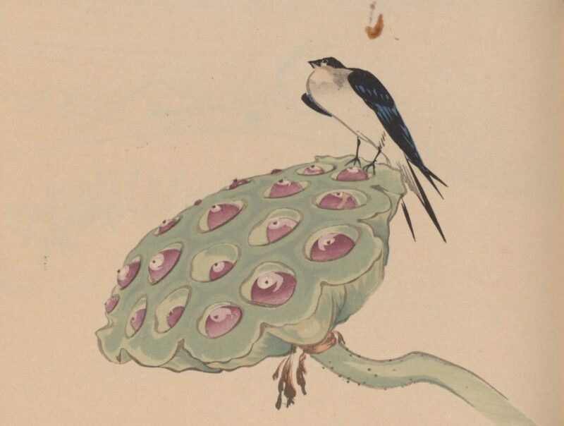 竹内次郎「邦画帖」 日本文化と今をつなぐJapaaan