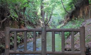 江戸開発は上水工事の歴史。飲料水を確保するために、徳川家康が行ったこととは！？