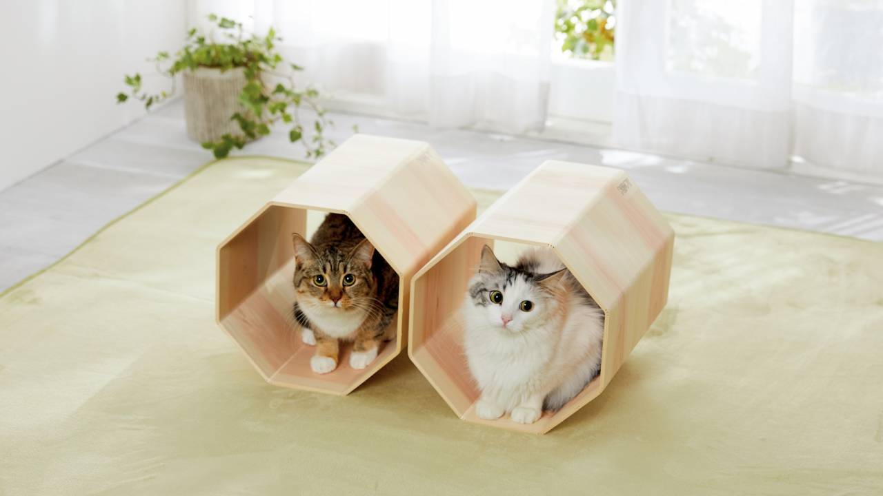 日本伝統の”挽曲げ”技術で作られた「吉野桧」の猫ちゃん専用トンネルベッドが新発売