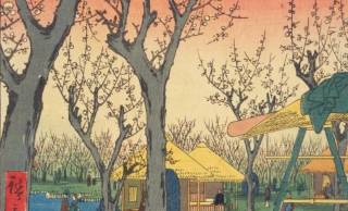 【浮世絵で見る】いよいよ梅の見頃！江戸っ子を楽しませた亀戸と蒲田の二大梅屋敷