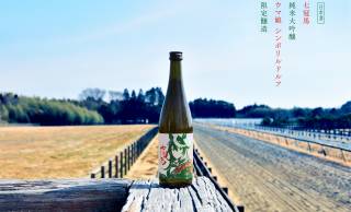 ウマ娘と島根・簸上清酒が異色のコラボ！日本酒「七冠馬 純米大吟醸 ウマ娘 シンボリルドルフ 限定醸造」が発売