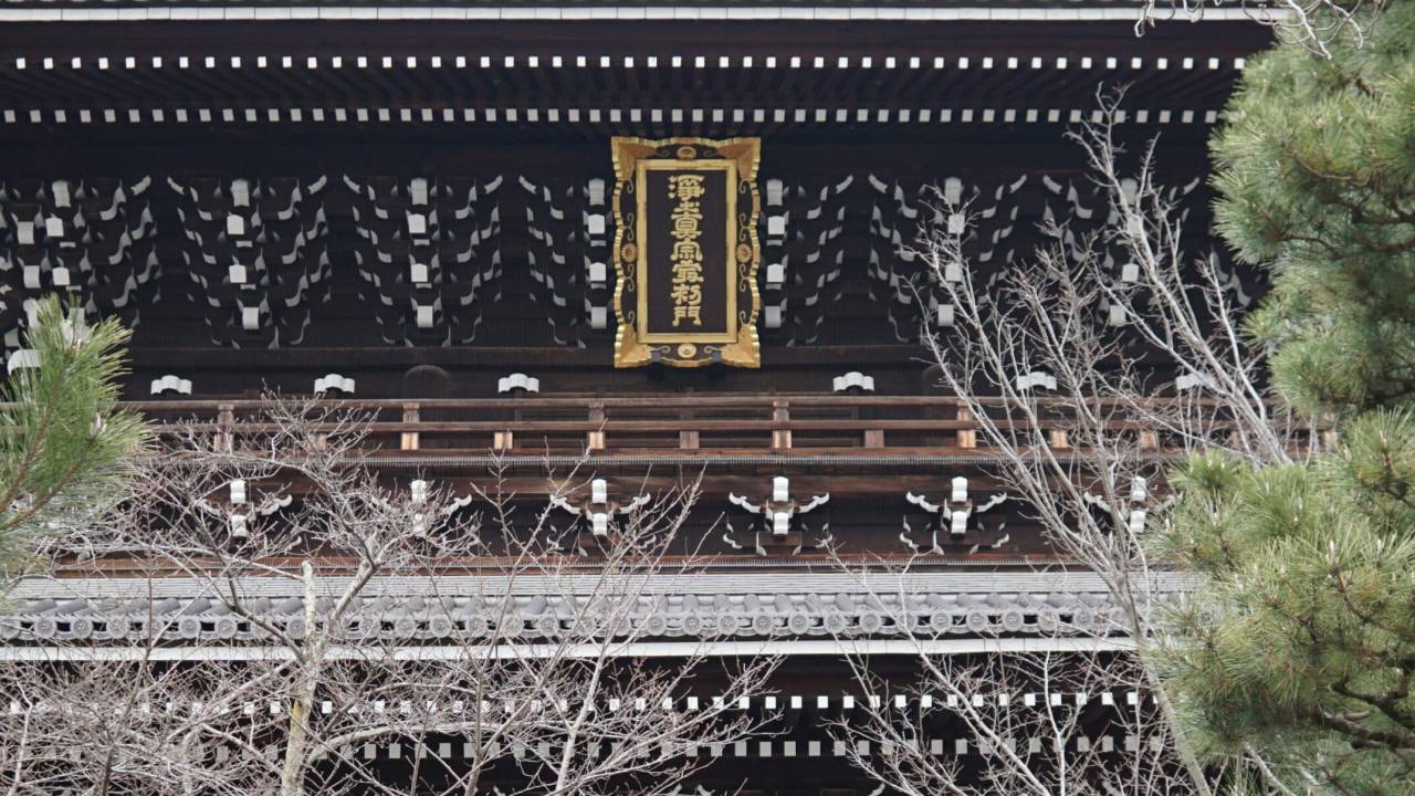 江戸時代の京都を守ったお城は二条城ではなく、2つの浄土宗寺院だったー2023年大河『どうする家康』こぼれ話【後編】