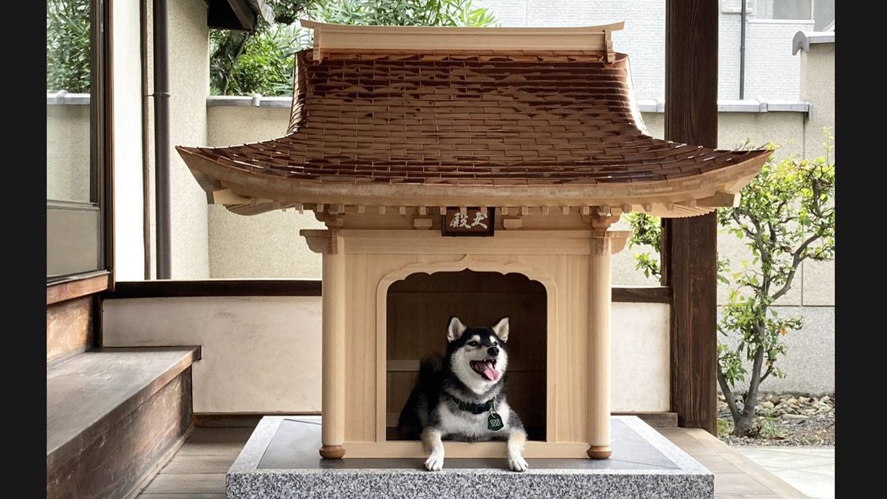 お犬様〜っ！日本社寺建築の粋を結集した至高の犬小屋「犬殿」が誕生！販売は５棟