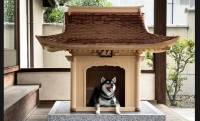 お犬様〜っ！日本社寺建築の粋を結集した至高の犬小屋「犬殿」が誕生！販売は５棟