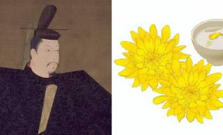 鎌倉殿の9月9日…頼朝や義時たちも菊の節句を楽しんでたの？『吾妻鏡』を読んでみました【鎌倉殿の13人】