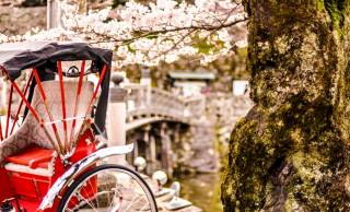 結婚の”サムシングブルー”や還暦の”赤いちゃんちゃんこ” 日本人の人生と色の関係