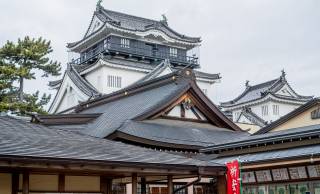 徳川家康生誕の地、龍にまつわる伝説も多く残る愛知県・岡崎城