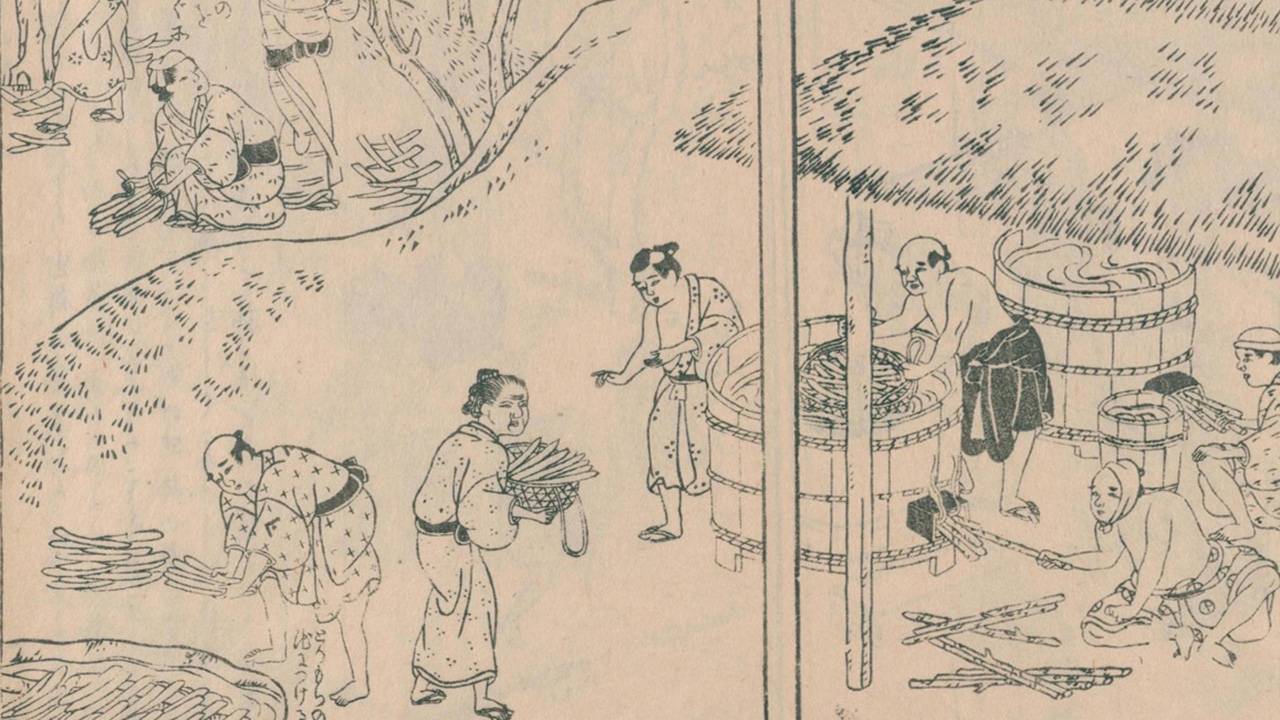 昔も悩まされた！江戸時代の書物に”熱中症”への対処方法はどのように書かれていたのか？