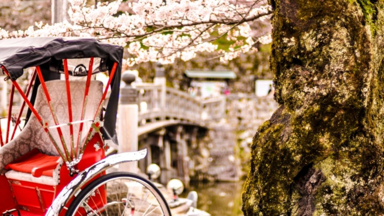 花嫁の幸せを願って……加賀藩の領地の伝統文化「花嫁のれん」とは？
