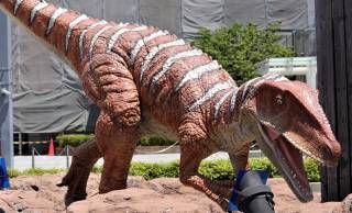 日本で発見された恐竜はどんな恐竜？国内で見つかった化石の種類を紹介