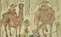ラクダを見れば夫婦円満！？江戸時代、日本に初めてラクダが上陸した日